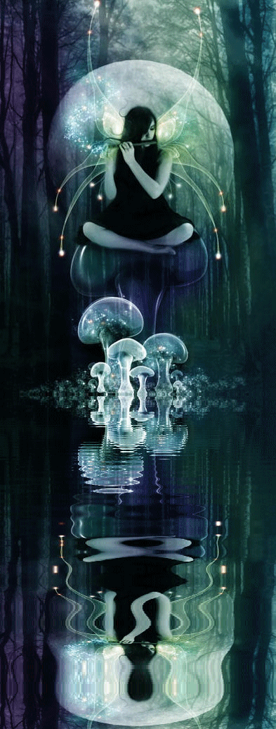 Images feeriques scintillantes