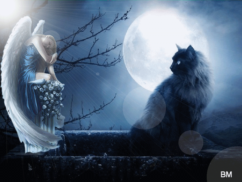 Ange et chat noir feerique : créa de ma tit soeur d'amour