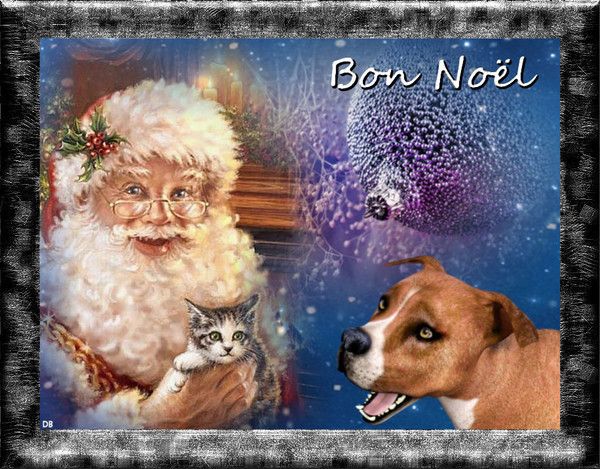 Joyeux Noël- Père Noël et ses Animaux : kdo pour vous