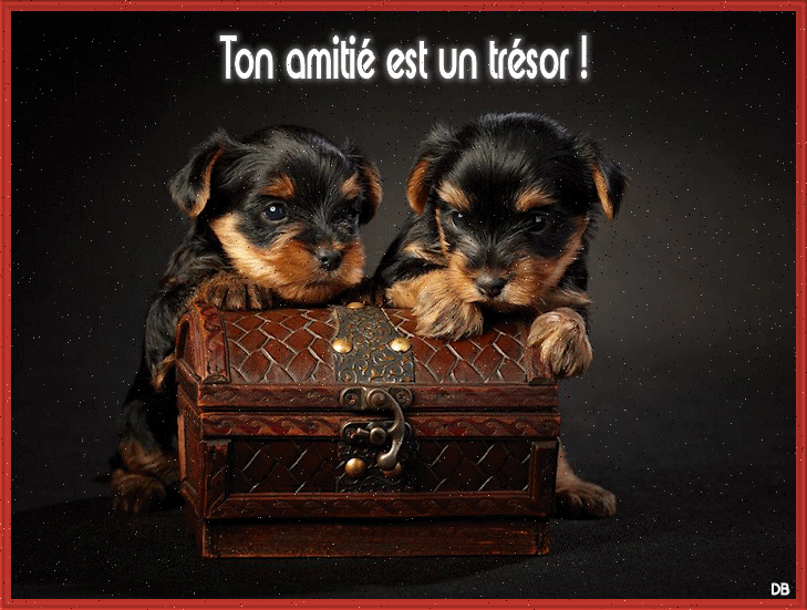 Ton amitié est un trésor : kdo