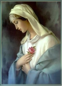 Mon hommage personnel à la Bienheureuse et Sainte Vierge Marie... - Page 2 43a41e3e