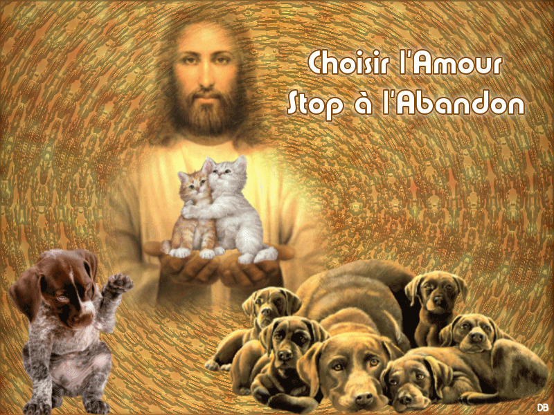 Jésus protecteur des animaux - stop à l'abandon : kdo 