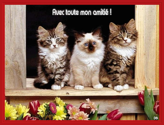 Image associée