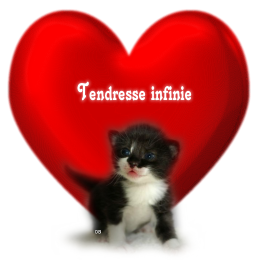 Tendresse infinie : kdo pour vous