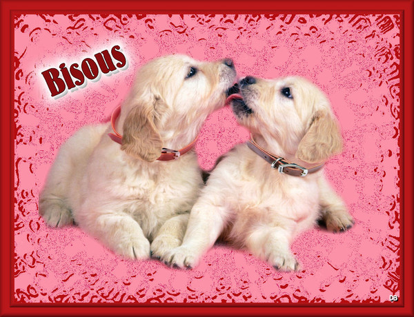creas bisous