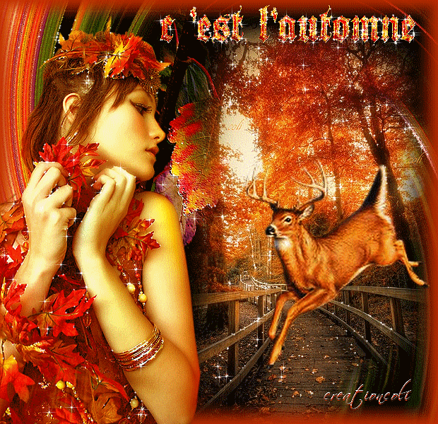 Image du Blog jardinsduciel.centerblog.net