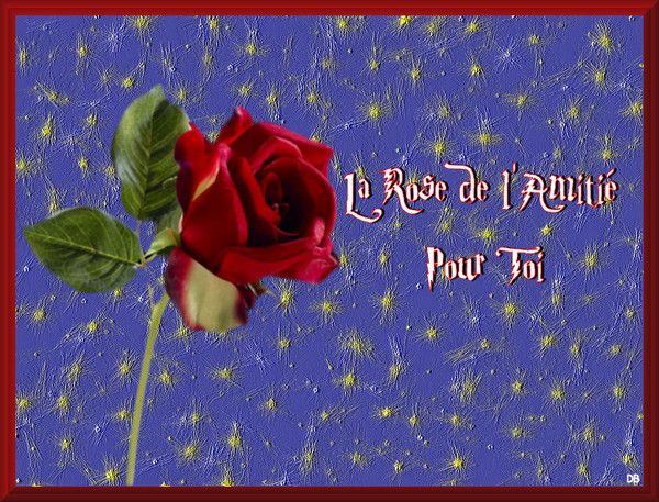 La Rose de l'Amiti : kdo pour vous
