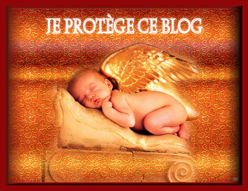 Je protège ce blog - Ange-Gardien : kdo pour vous