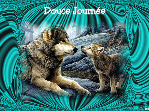 Douce Journée - loups : kdo pour vous