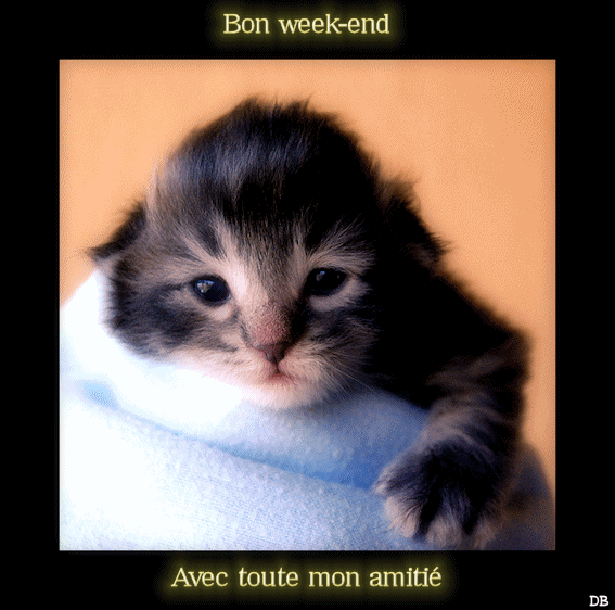 Bon week end : cadeau pour vous