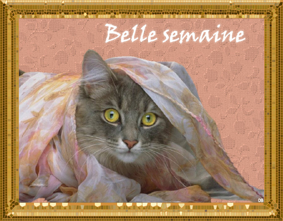 belle chat Join our online dating website eurobellecom for free and meet local women verified profiles, safe and discreet, chat and flirt. belle chat Join our online dating website eurobellecom for free and meet local women verified profiles, safe and discreet, chat and flirt.