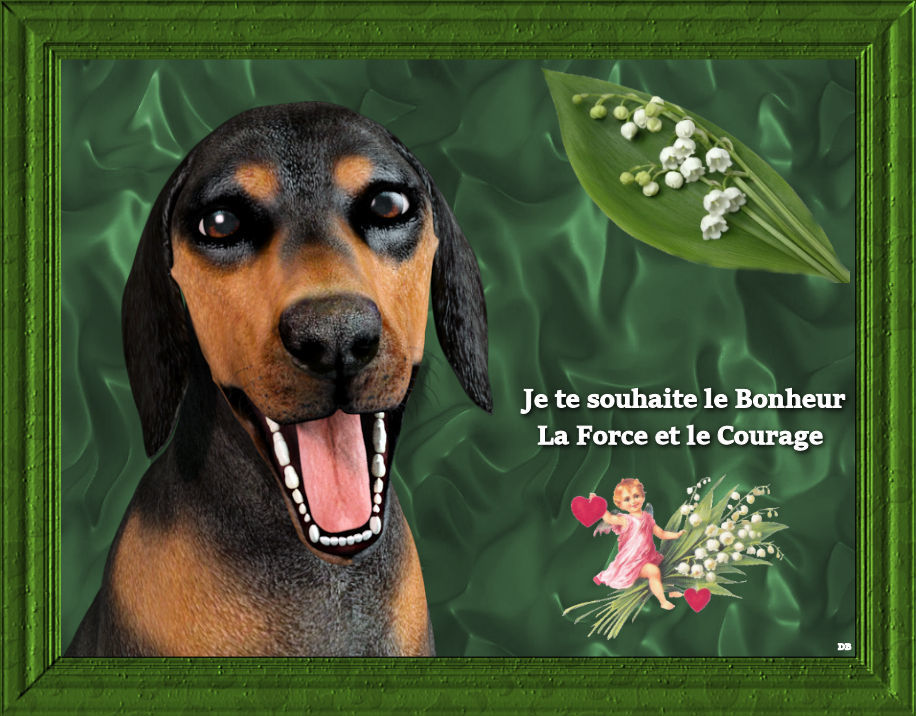 images pour blog 1er mai