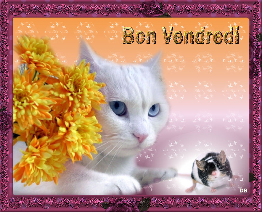 Bon vendredi картинки