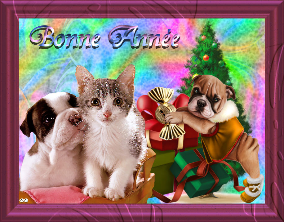 creas chiens Page 2