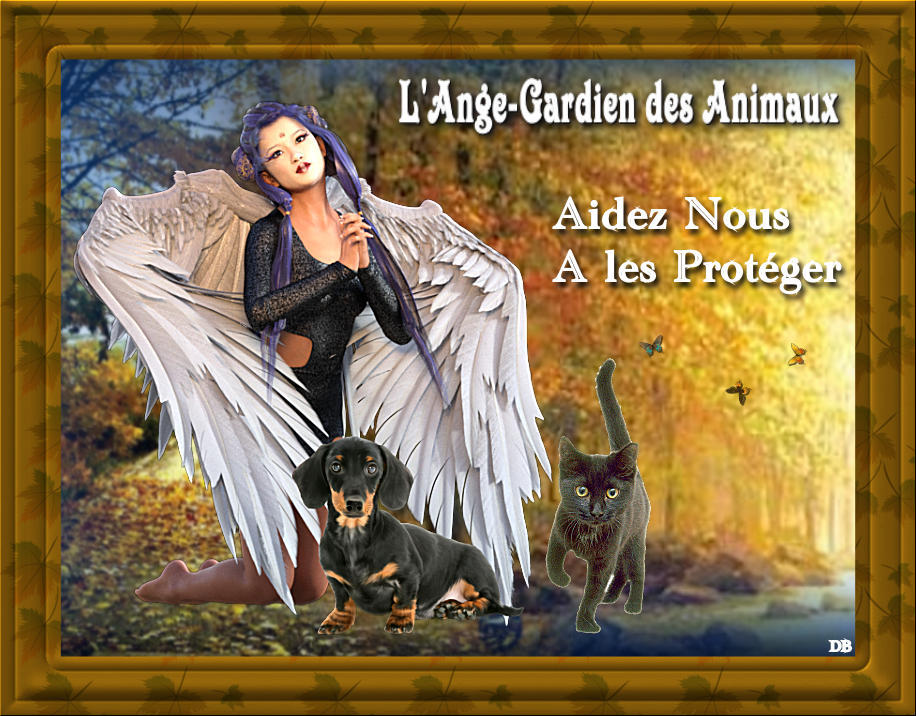 Demander Un Voeux à Son Ange Gardien