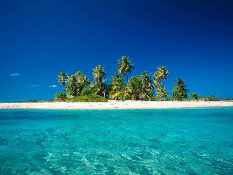 deserted island survival deserted island survival