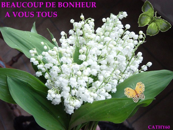 photos 1er mai porte bonheur photos 1er mai porte bonheur