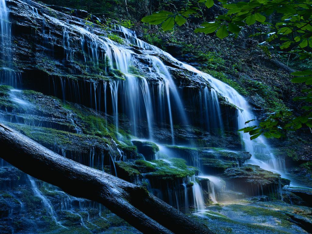 remarquÃ©, j'adore la nature, j'utilise souvent des wallpapers, fonds ...